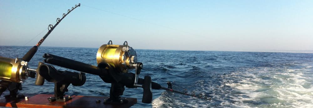Trawling for gamefish